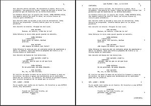 A spec screenplay vs a production screenplay.